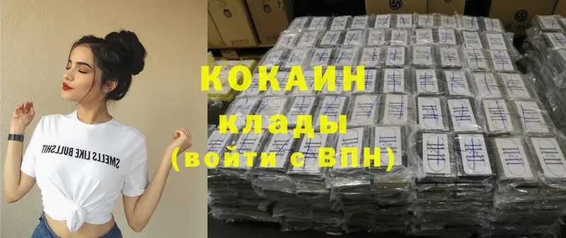 где купить наркотик  Западная Двина  COCAIN FishScale 